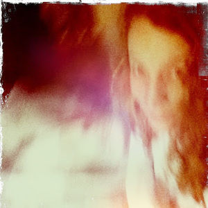 Meet your Posher, Ann